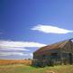 700x700_woolshed.jpg